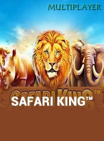 Safari King game cover