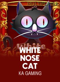 White Nose Cat game cover